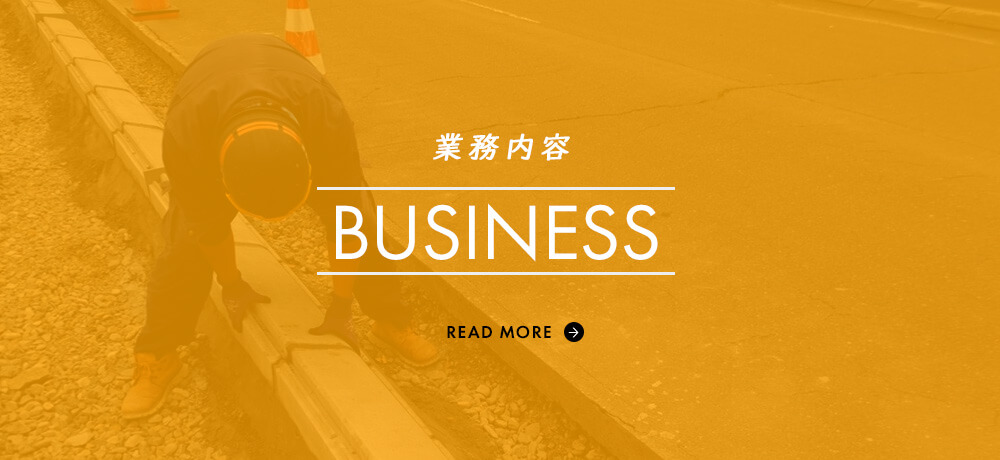 bnrhalf_business